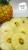 Import 20oz canned pineapple rings pineapple slices Thailand from Thailand