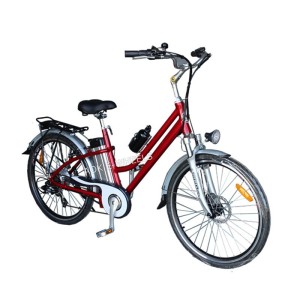 250W Lithium Battery City Electric Bike (TDE-038B)