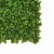 Import 25*25CM Chinese green field prices flooring landscape fence lawn mat grass leaves artificial box hedge wall from China