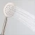 Import 304 Stainless Steel Brushed Shower Set With Rain Shower Dual Head Shower from China