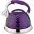 Import 3.0L shinny diamond stainless steel water tea kettle with whitsle alarm from China