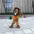 Import 385 Adult Cosplay Customized Lion Mascot Costume For Party from China