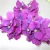Import 4 forks 15cm Hydrangea paper flowers wholesale large artificial flower heads flower hair accessories from China