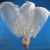 55-60cm South Africa White ostrich Feathers Wedding Ostrich Feathers