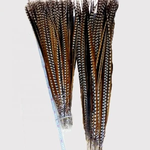 76 Inch(190 cm)Chinese Top Manufacturer Cheap Large Natural Reeves Pheasant Tail Feathers for Head Decorations