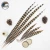 Import 76 Inch(190 cm)Chinese Top Manufacturer Cheap Large Natural Reeves Pheasant Tail Feathers for Head Decorations from China