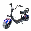 Adult trike two wheel electric scooter golf