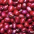 Import Adzuki Bean Extract,Vigna Angularis Extract,Red Bean Extract Powder from China
