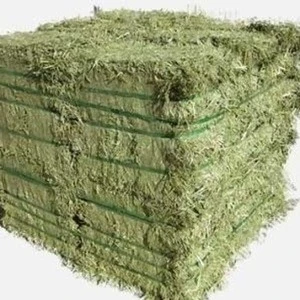 Alfalfa Hay/ Alfalfa Hay Pellets
