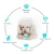 Import Amazon Hot Sale High-Quality Dog Chew Toy Interactive Pig-Shaped Bite Resistant Pet Toys Dog from China