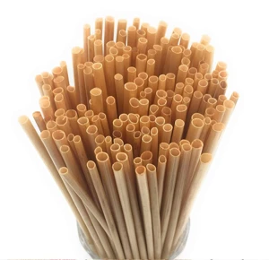 Amazon Top Seller 2020 Eco-Friendly Feature and Long Drinking Straws Bar Accessories Type Natural Drinking Straw