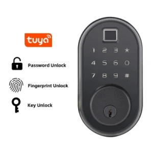 American Standard Waterproof Tuya WiFi Keyless Entry Keypad Wireless Digital Password Fingerprint Smart Lock