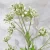 Import Artificial Plant with Small White Flower for Ornament from China