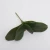 Import Artificial Silk orchid flower wholesale Real Touch Home Bridal Wedding Decoration Artificial Silk orchid flower Leaf from China