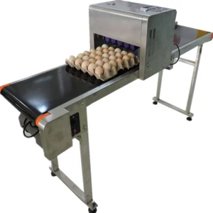 Automatic egg printing machine / printer for egg