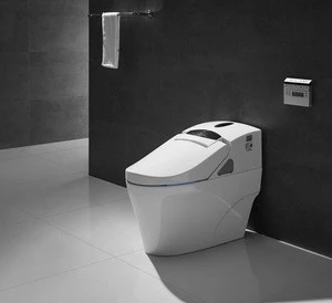 Automatic Open-close Sensor Controlled Electric Integrated Toilet Bowl ZJS-02