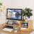 Import Bamboo Monitor Stand Riser Laptop Cellphone TV Printer Stand with 2-Tier Desktop Storage Organizer from China