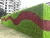 Import Beautiful Plastic Artificial Plants Outdoor Green Wall from China