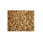 Best Price Non GMO Soybean