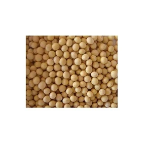 Best Price Non GMO Soybean