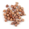 Best Quality Desi Chickpea/TOP QUALITY WHITE CHICKPEAS WITH CERTIFICATE IN CANADA