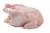 Import Best Quality Halal Frozen Whole Chicken from Thailand
