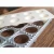 Import Best Seller Aluminum Quick Grain Product Production Pasta Making Machine from Taiwan