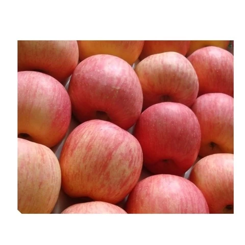 Best Tasting Pure Natural Fresh Red Fuji Apple Fruit
