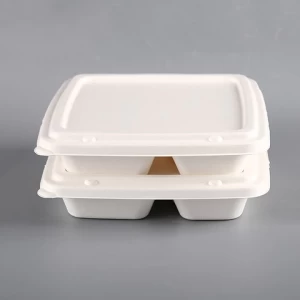 100% biodegradable sugarcane bagasse takeaway food container disposable tableware