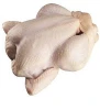 Brazil Frozen Halal Whole Chicken
