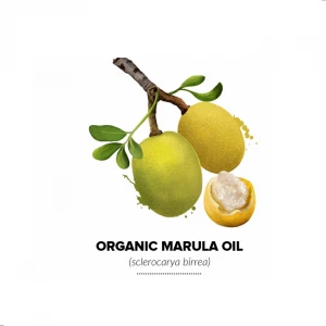 Buy Pure Natural Plant Extract Marula oil 100% natural and pure with Free Sampling