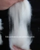 cashmere wool fibre
