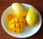 CAT HOA LOC MANGO BEST SELLER ON TET HOLIDAY 2021 FROM NAM VAN LONG CO.,