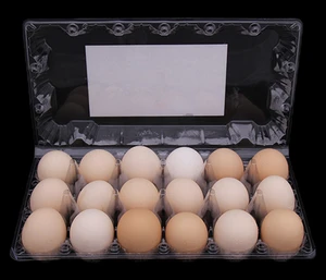 Cheap pvc plastic egg tray price from china