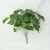 Import China Artificial Plants Green  Home Decor 1 Bouquet Decoration Grass Plant from China