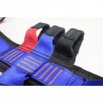 China factory cheap price fitness gymnastics bungee harness