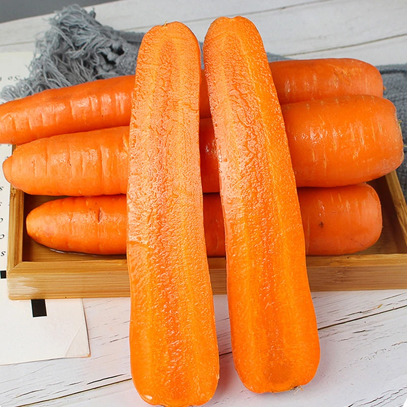 china fresh carrot 200g big size