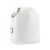 Import China manufacturer portable nano ionic professional facial steamer from China
