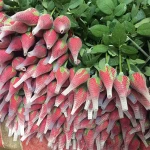 China supplier cheap epe foam fruit protective packaging net for papaya
