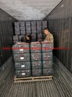 Chinese Fresh Chestnut Packing in 23kg Basket or Mesh Bag or Gunny Bag for Roasted Chestnut