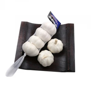 Chinese Fresh Pure White Garlic 5.0CM 4Pcs/bag In 10Kg/Mesh Bag For Uganda