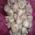 Chinese Wholesale Garlic Price - new crop, hot sales
