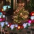 Import christmas Solar Garden Light Flower Multi-Color Changing LED Stake Lights for Garden Patio Backyard from China