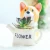 Import Colorful Garden Vase The Dog holding A Watering Can Ceramic Pot Succulent Plants vase Mini Flower Pot from China