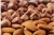 Import Commercial Nut Shell Cracking Machinery Almond Walnut Kernel Separator Hazelnut Peeler Screening Machine from China