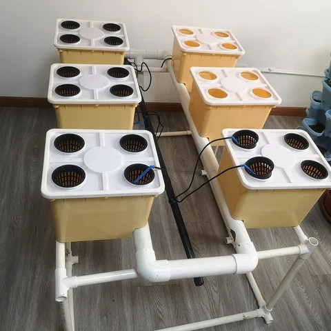 Buy Complete Hydroponics Dutch Bucket Or Bato Bucket System For ...