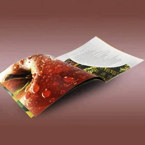 Custom a5 a4 a3 size accordion laminated folding catalogue booklet brochure printing
