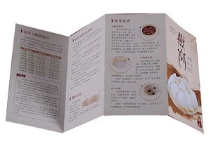 Custom CMYK Glossy Art Paper Pocket Brochure Catalog Printing