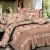 Import Custom Printed Luxury Quilt Bedding Set/100% Polyester Patchwork Quilting from China