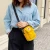 Import custom women mini small fashion daisy canvas shoulder crossbody messenger bag from China